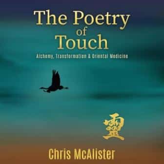 boek titel The Poetry of Touch