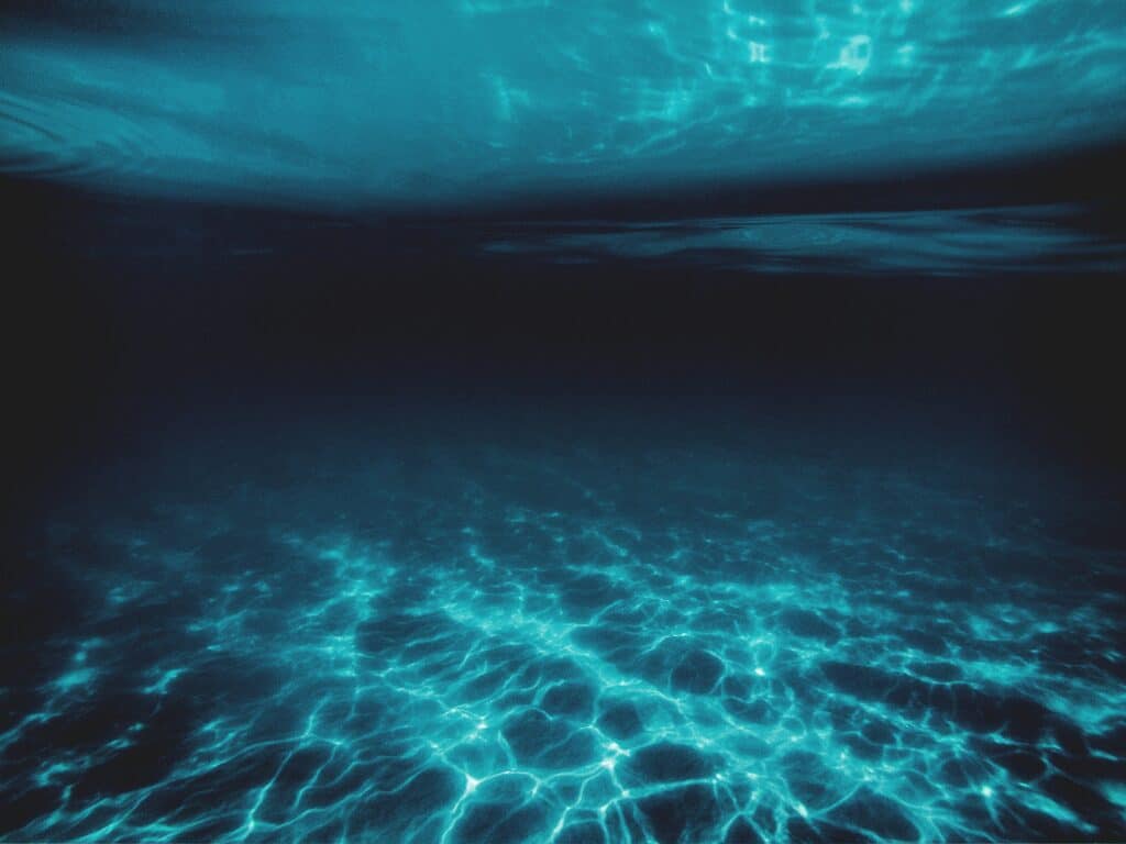 onderwater foto